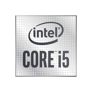 Intel Core i5-10500 6 Core OEM Tray CPU with HyperThreading No Cooler LGA1200 3.1GHz (4.5GHz Turbo)